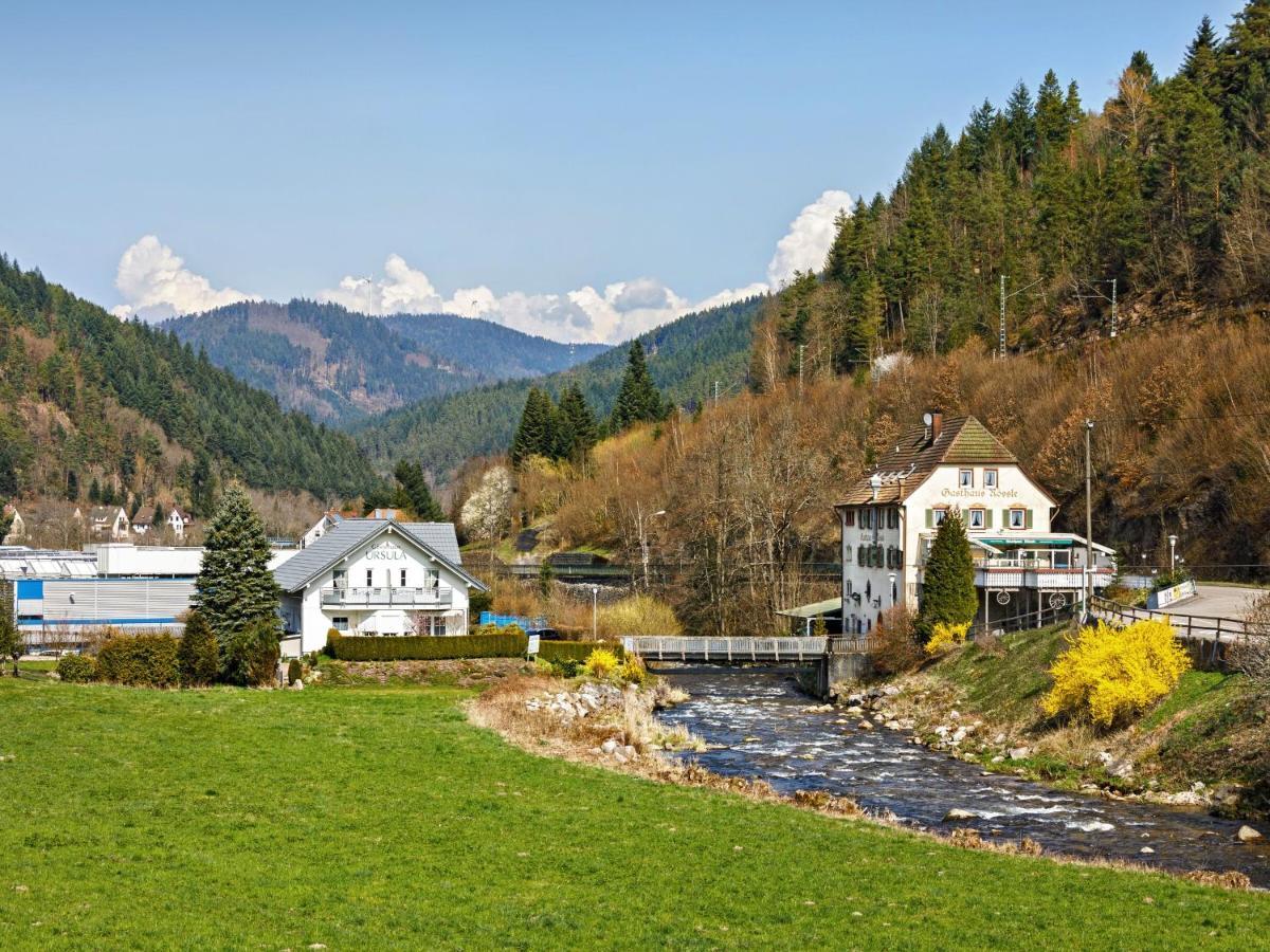 Gaestehaus Ursula ฮอร์นแบร์ก ภายนอก รูปภาพ