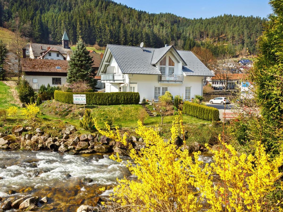Gaestehaus Ursula ฮอร์นแบร์ก ภายนอก รูปภาพ