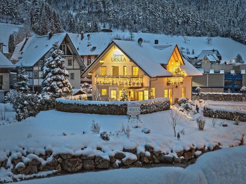 Gaestehaus Ursula ฮอร์นแบร์ก ภายนอก รูปภาพ