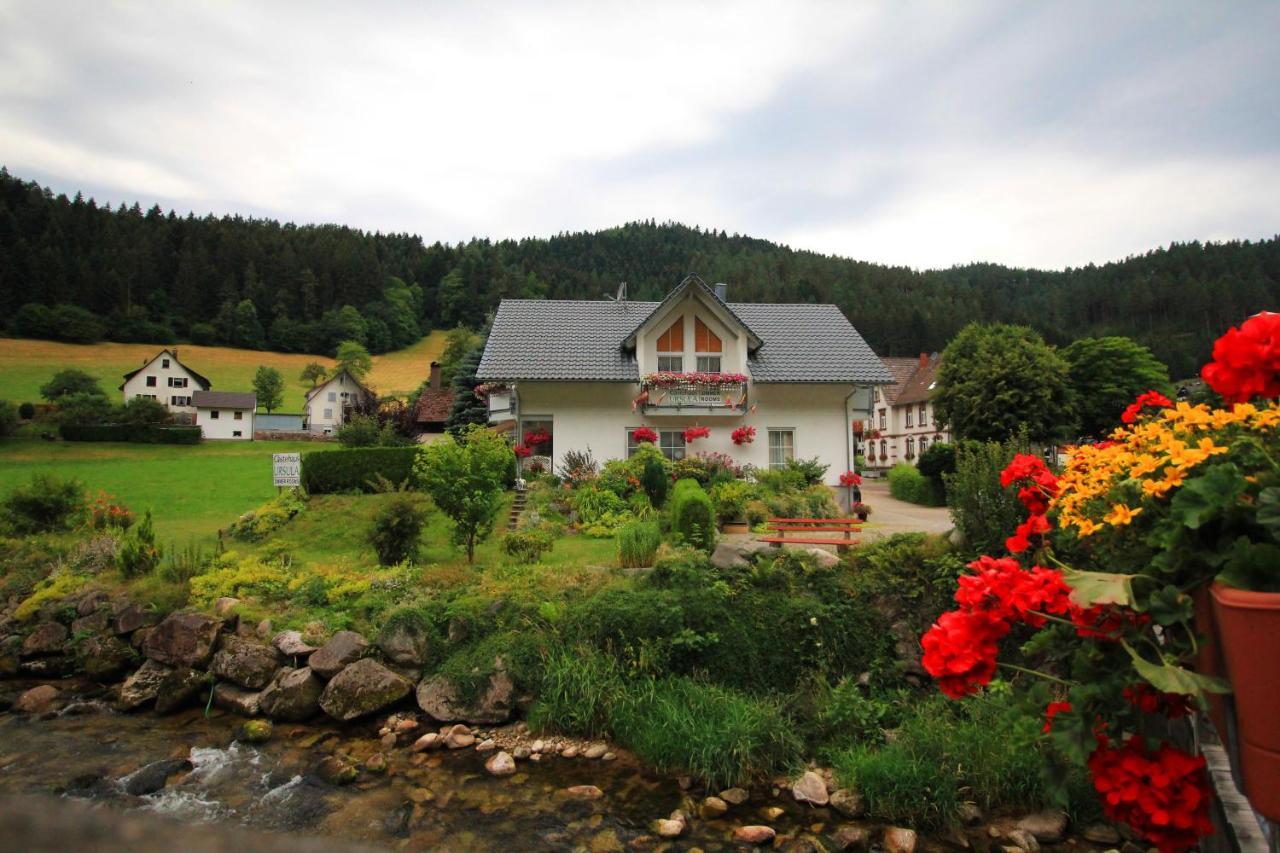 Gaestehaus Ursula ฮอร์นแบร์ก ภายนอก รูปภาพ